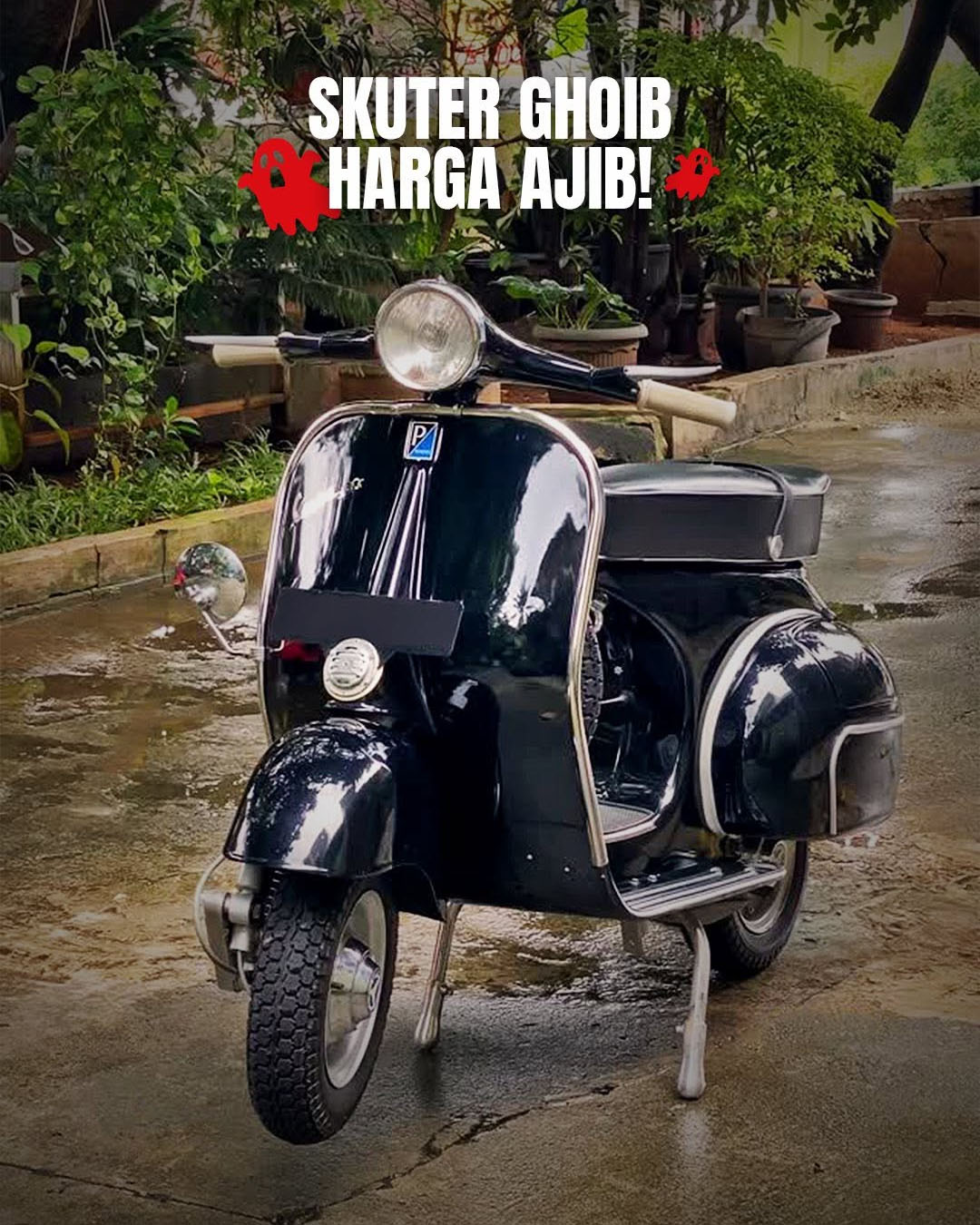 Image-06-Scooterland